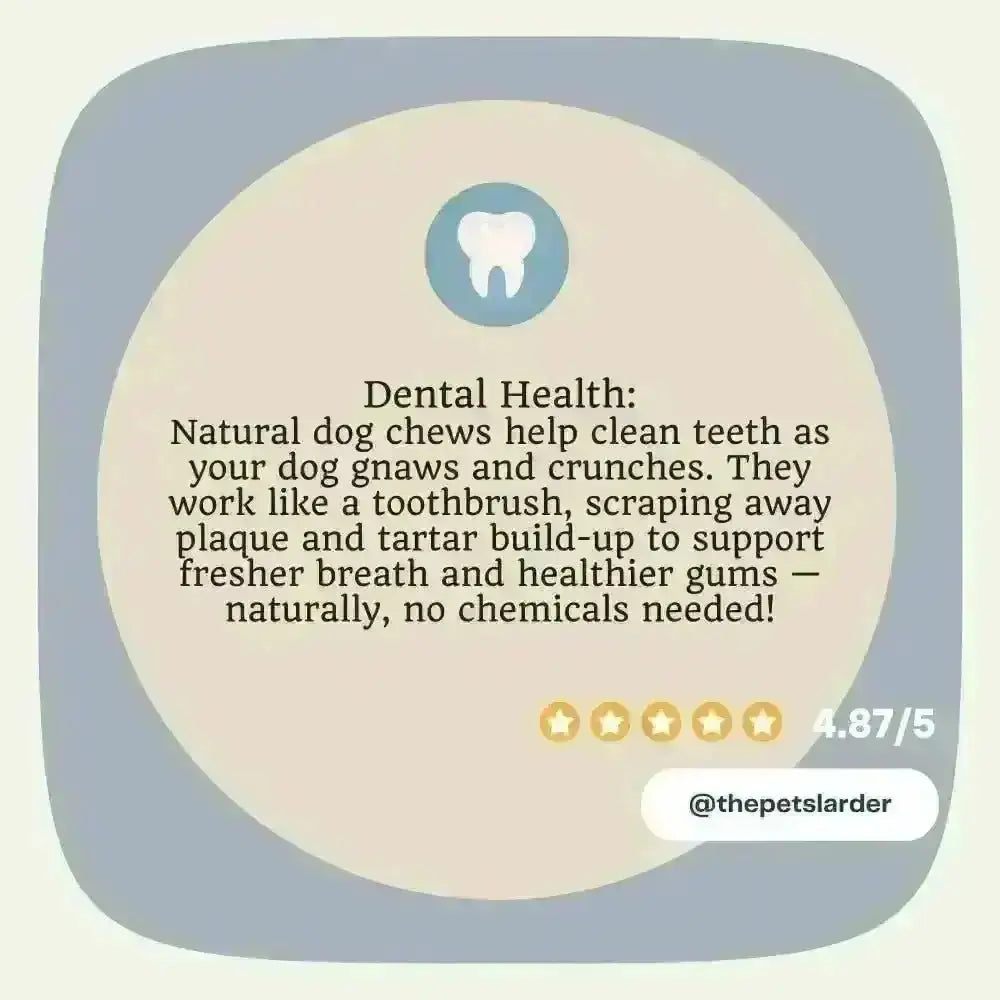 Natural Pork Crackling Stick for Dogs with dental care, blue tooth icon, star rating