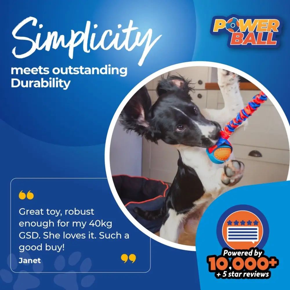 PowerBall Bungee dog ball toy with colorful braided rope and orange ball