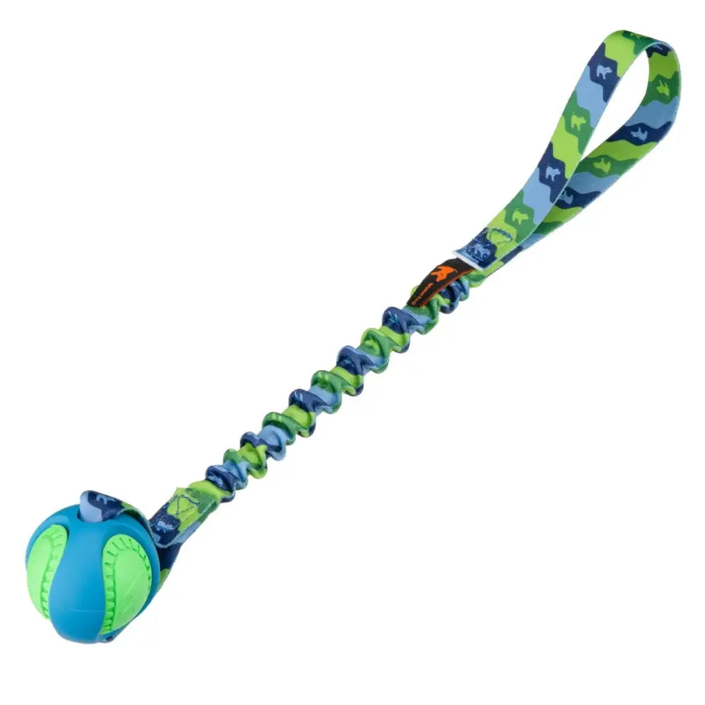 PowerBall Bungee blue and green dog ball toy with stretchy leash