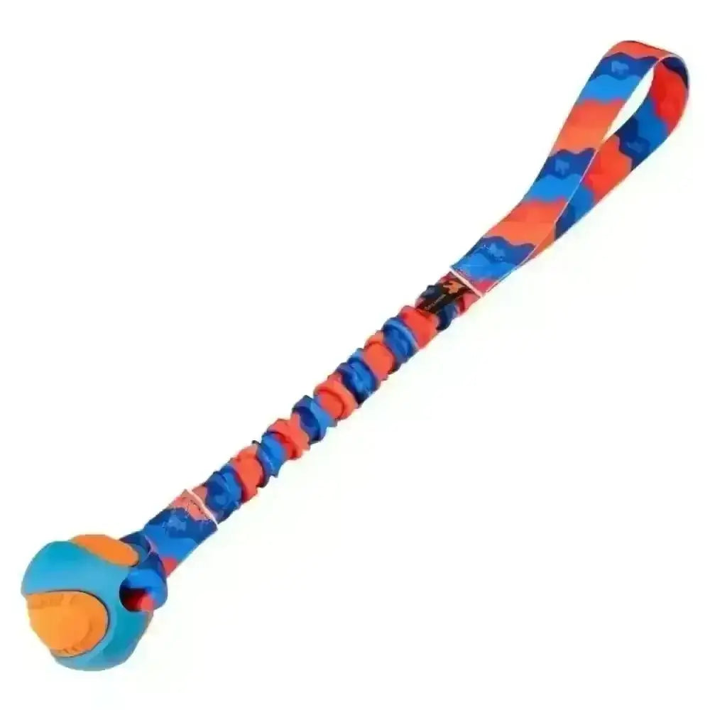 Bright orange and blue PowerBall Bungee dog ball toy with rubber ball head