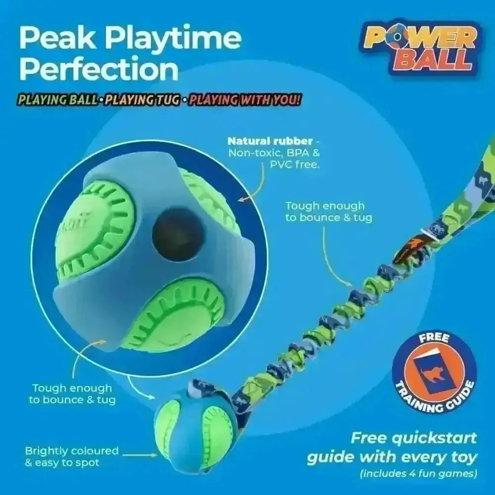 Blue and green PowerBall Bungee dog ball toy with textured segmented natural rubber design