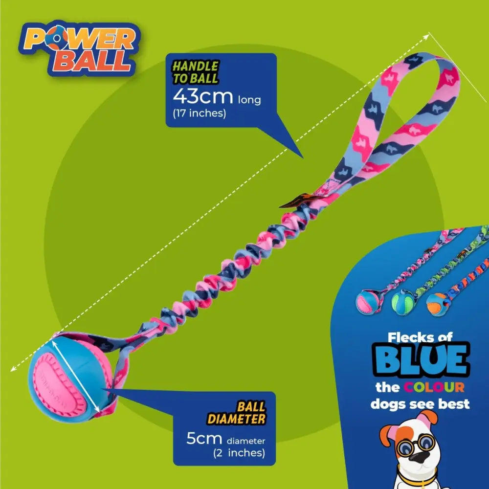 Pink and blue patterned PowerBall Bungee dog ball toy with braided handle