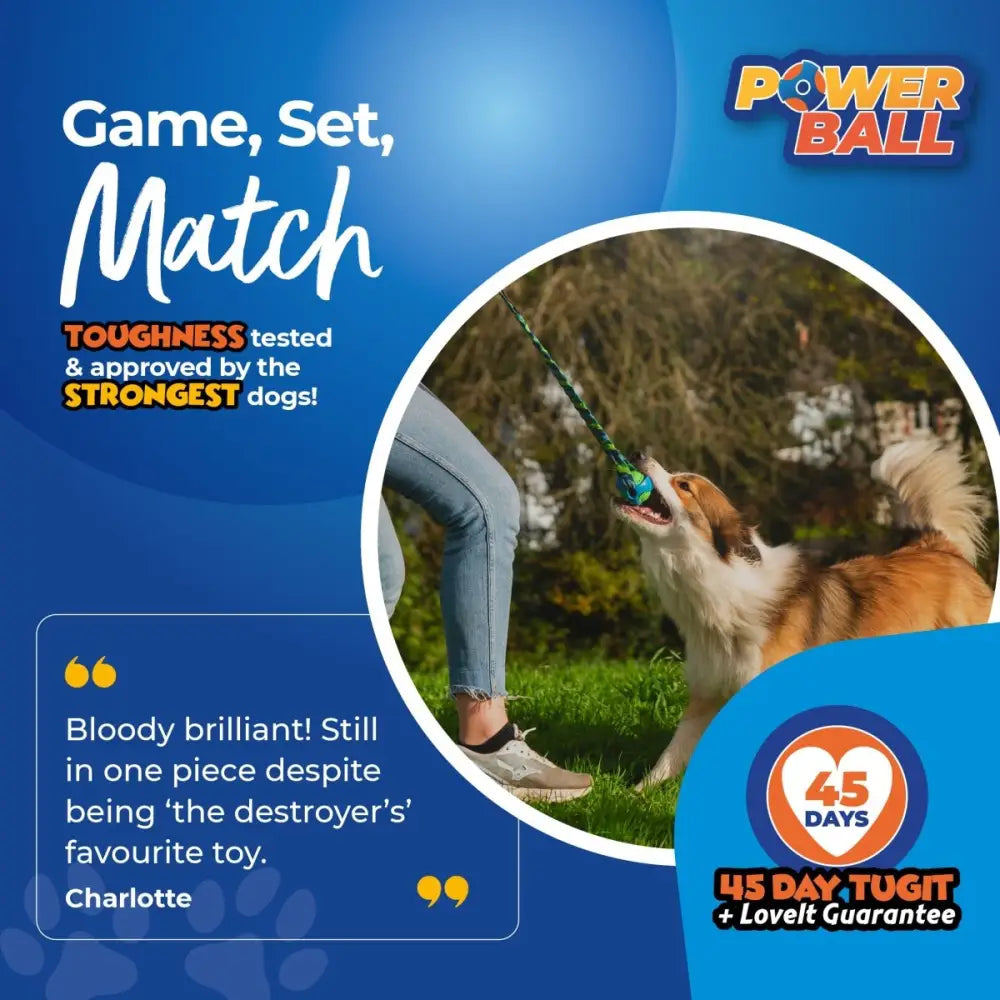 PowerBall Bungee dog ball toy with green blue rope handle