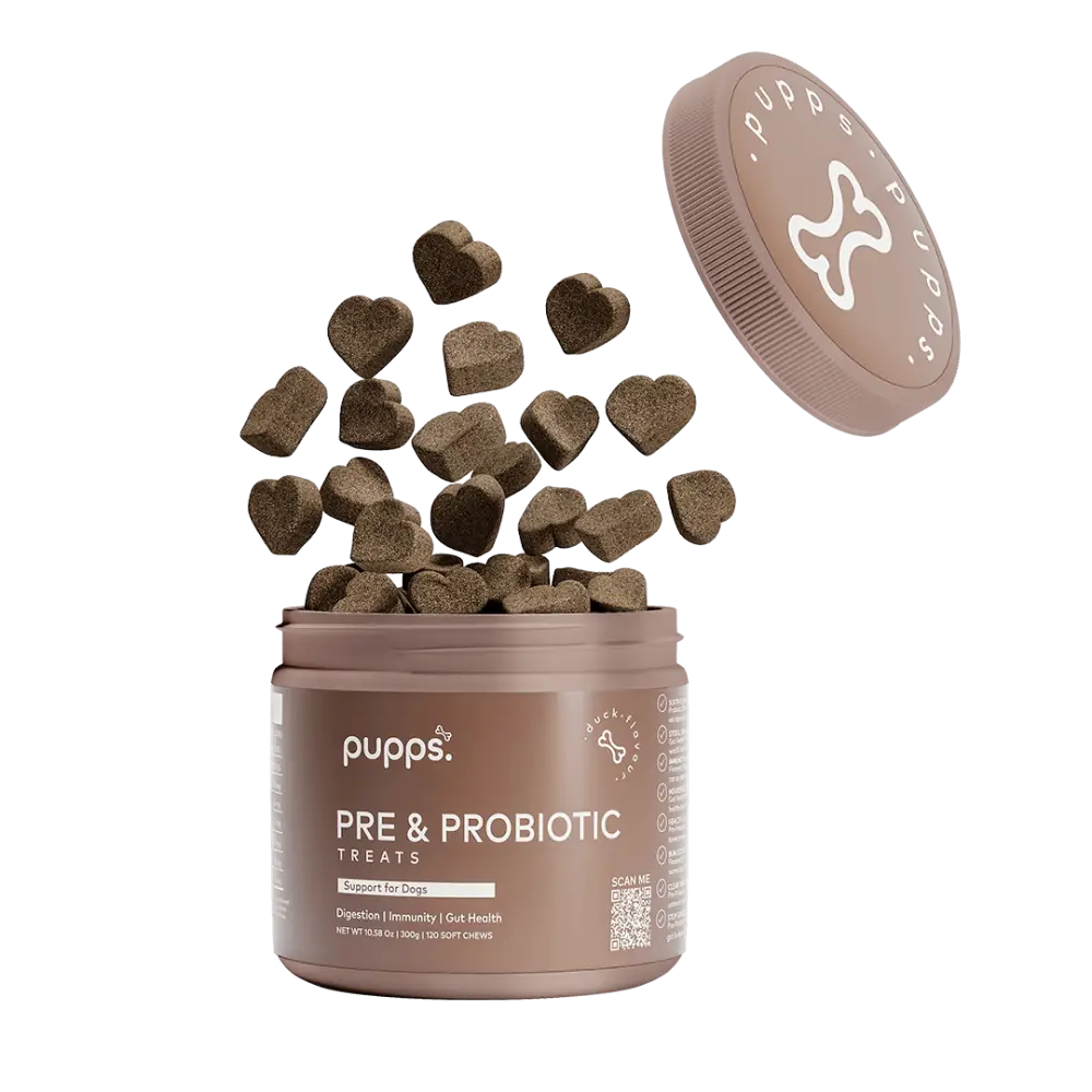 Pre & Probiotic Treats - Pre & Probiotic Treats