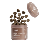 Pre & Probiotic Treats - Pre & Probiotic Treats