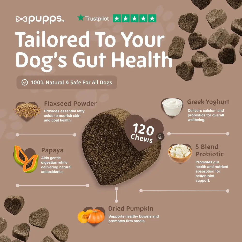 Pre & Probiotic Treats - Pre & Probiotic Treats