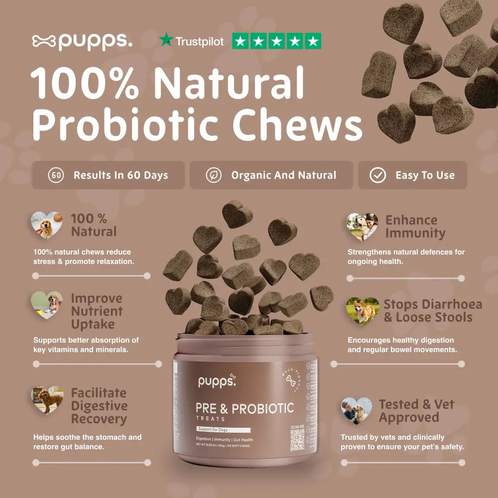 Pre & Probiotic Treats - Pre & Probiotic Treats
