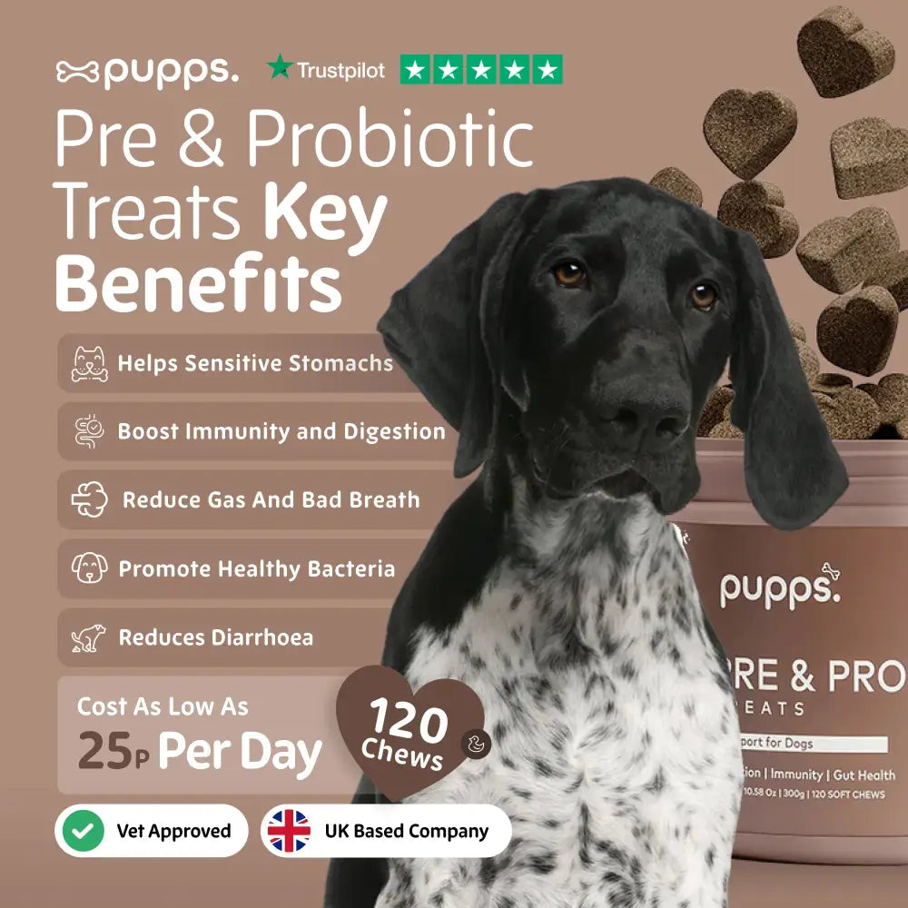 Pre & Probiotic Treats - Pre & Probiotic Treats
