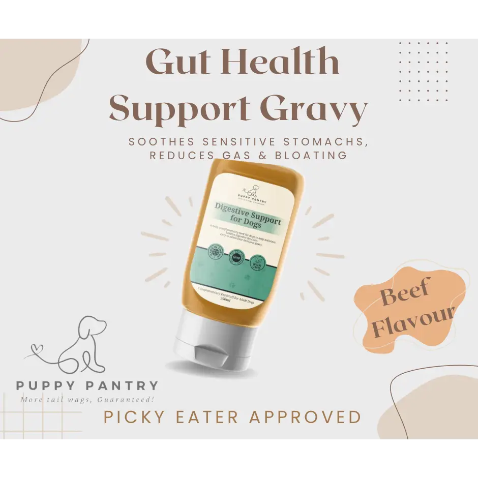 Probiotic Digestive Gravy – Beef (290ml) Supports gut health soothes sensitive stomachs reduces gas & bloating - Dog