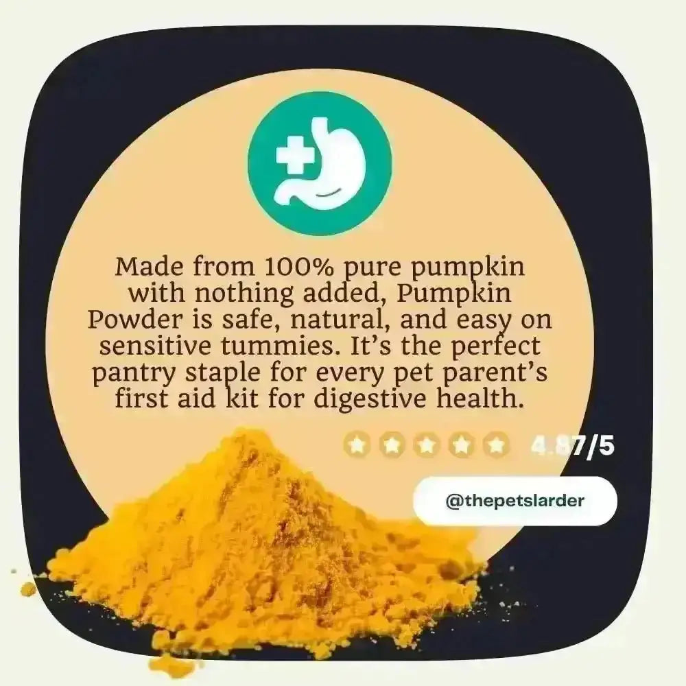 Natural pumpkin powder for dogs supporting digestive health and healthy bowel movements