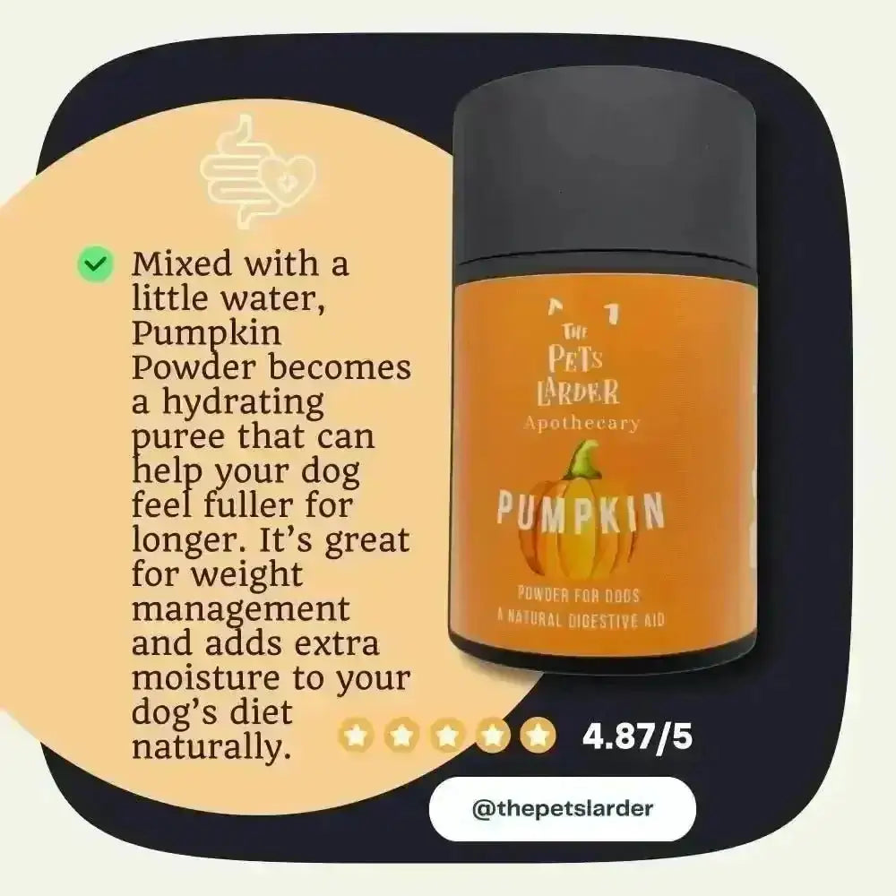 Pumpkin powder container with orange label promoting digestive health and bowel support for dogs