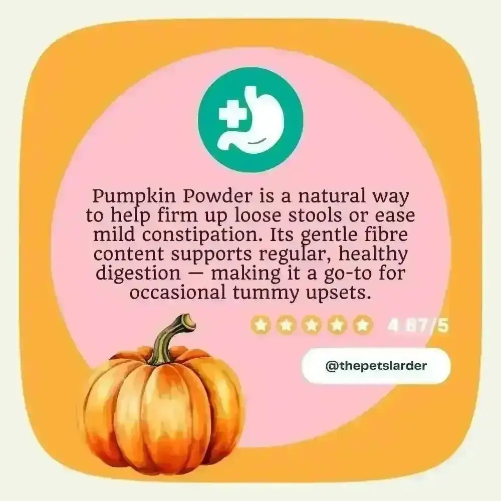 Pumpkin powder for dogs supporting digestive health and bowel movements with orange and green design