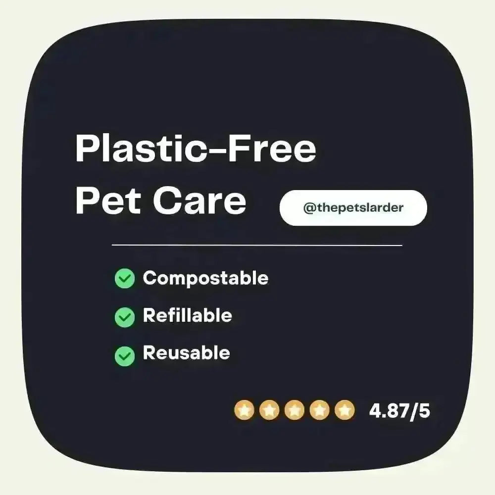 Plastic-free pet care kit with pumpkin powder for dogs supporting digestive health and bowel movements