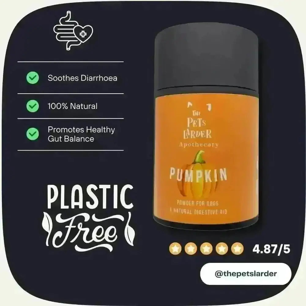 Orange pumpkin powder container with green checkmarks for digestive health in dogs