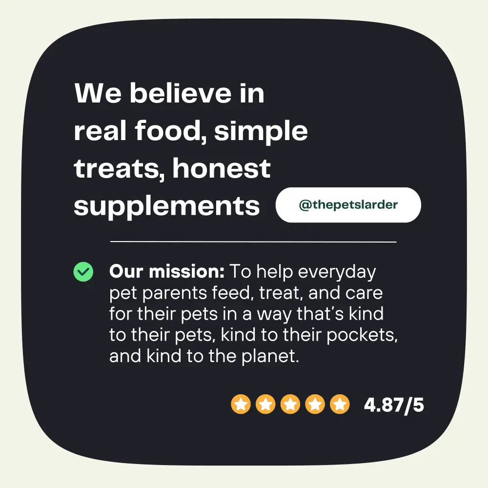 Pumpkin Powder for Dogs: Digestion Aid - Dog Supplements