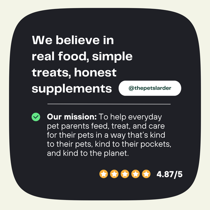 Pumpkin Powder for Dogs: Digestion Aid - Dog Supplements