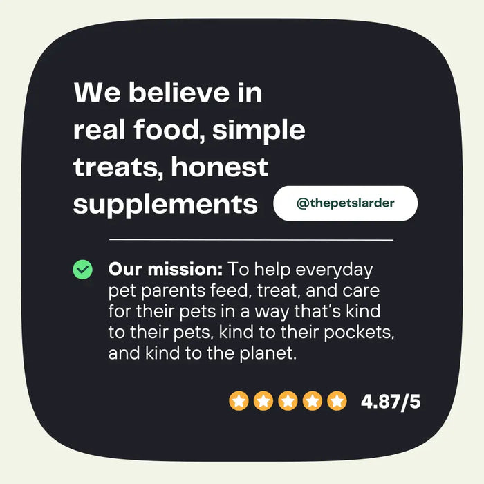 Pumpkin Powder for Dogs: Digestion Aid - Dog Supplements