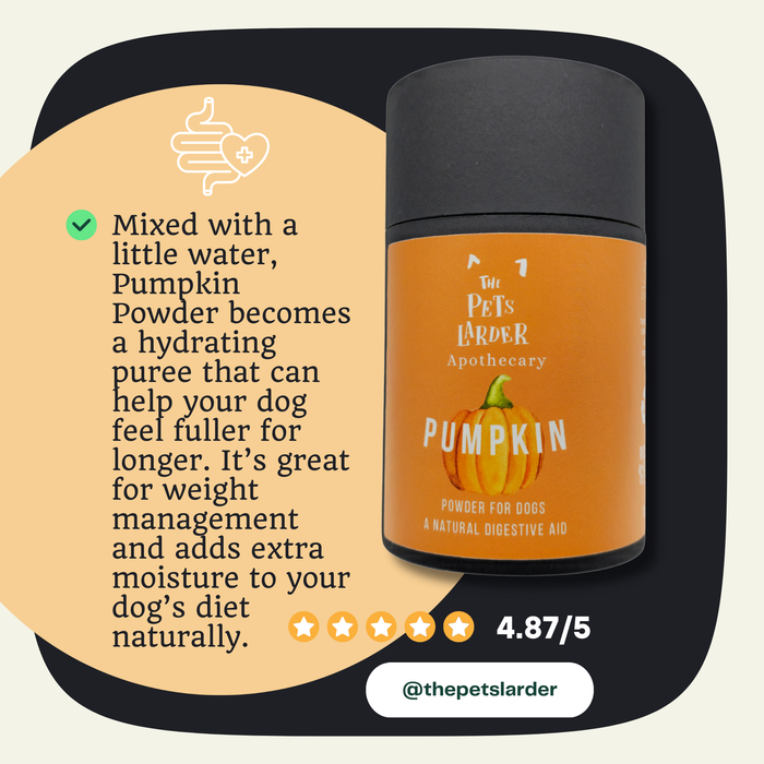 Pumpkin Powder for Dogs: Digestion Aid - Dog Supplements