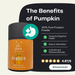 Pumpkin Powder for Dogs: Digestion Aid - Dog Supplements