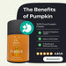 Pumpkin Powder for Dogs: Digestion Aid - Dog Supplements
