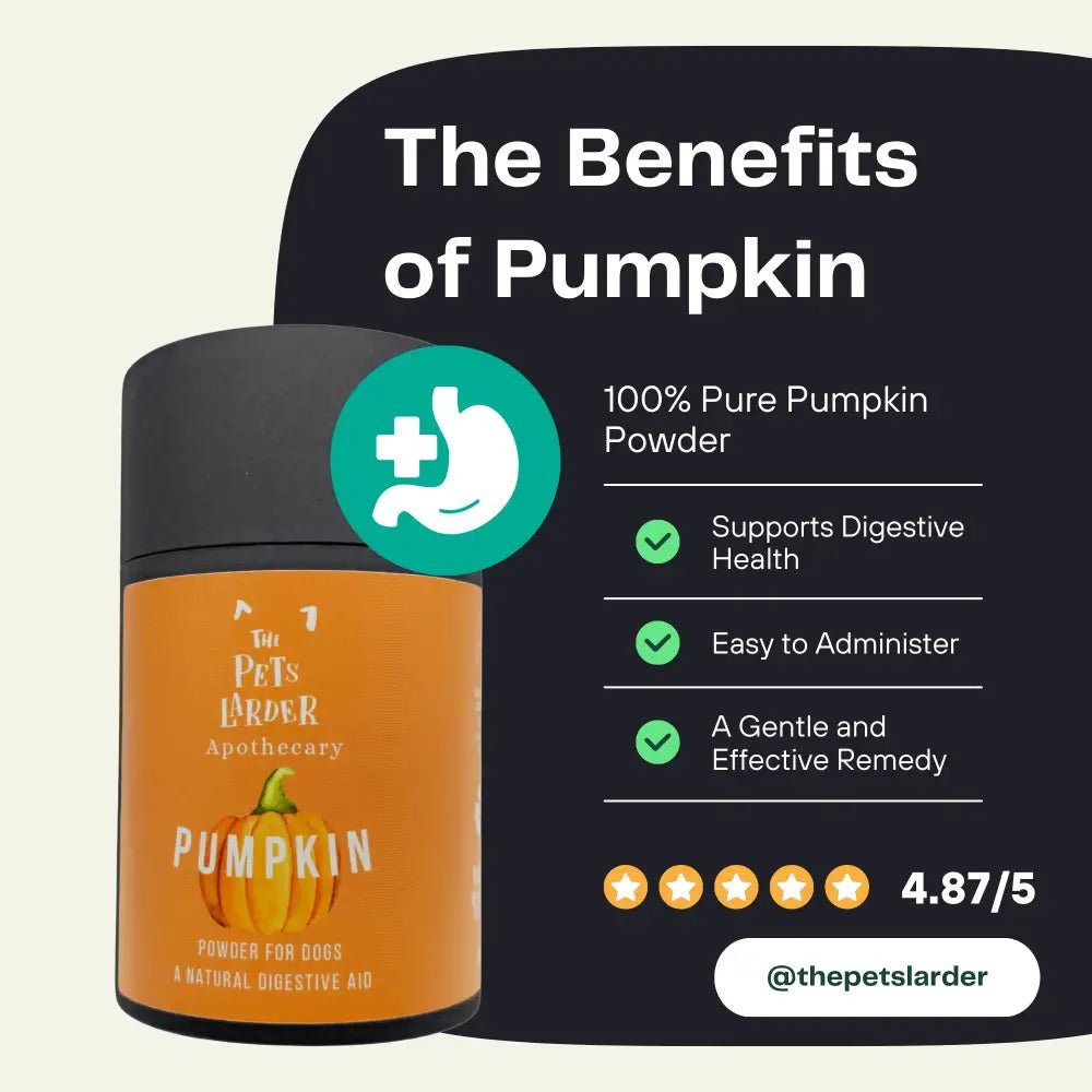 100% pure pumpkin powder jar with black lid and orange label for digestive health and bowel movements