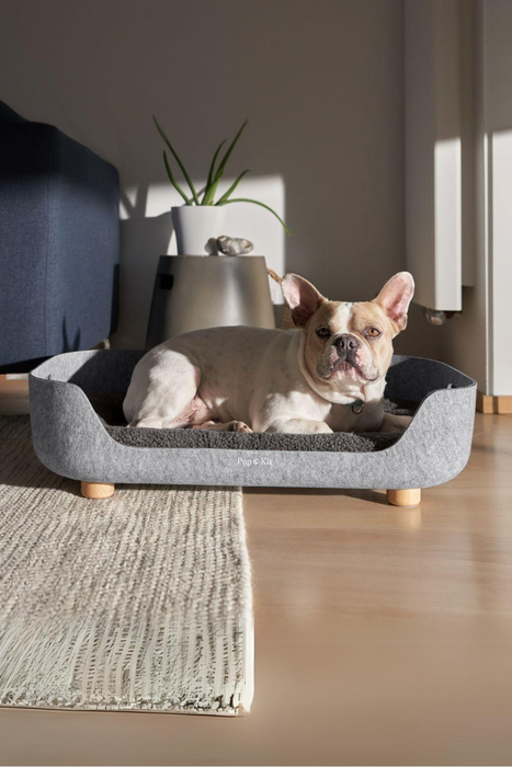 Pup & Kit PupNest Grey Dog Bed | Beds for dogs