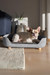 Pup & Kit PupNest Grey Dog Bed | Beds for dogs