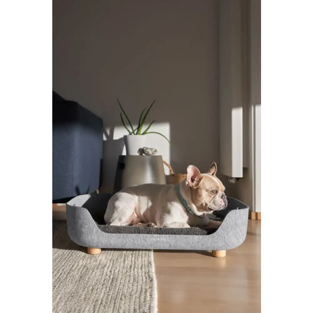 Pup & Kit PupNest Grey Dog Bed | Beds for dogs