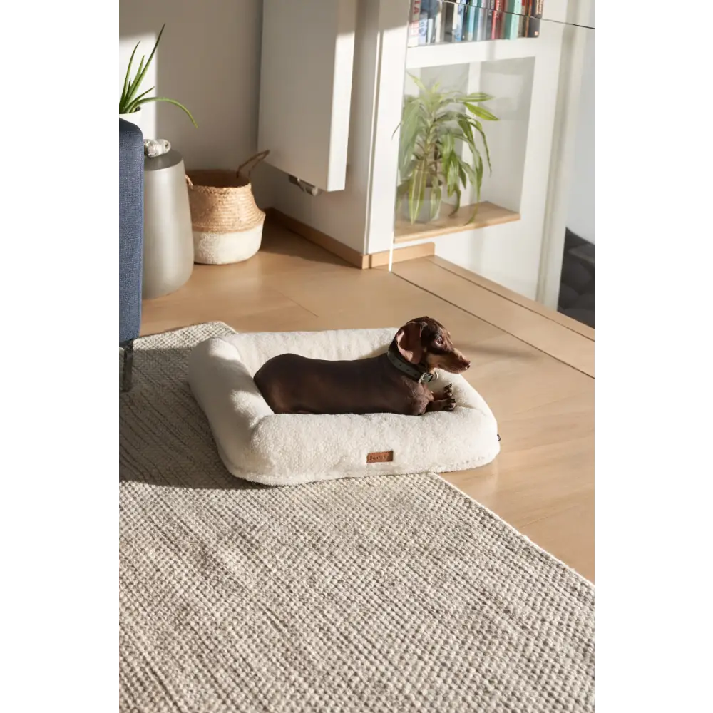 Pup & Kit PupPillow Luxury Dog Bed | Beds for dogs