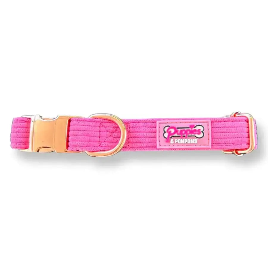 Pink luxury corduroy Poms dog collar with gold hardware and Purrs & Company logo