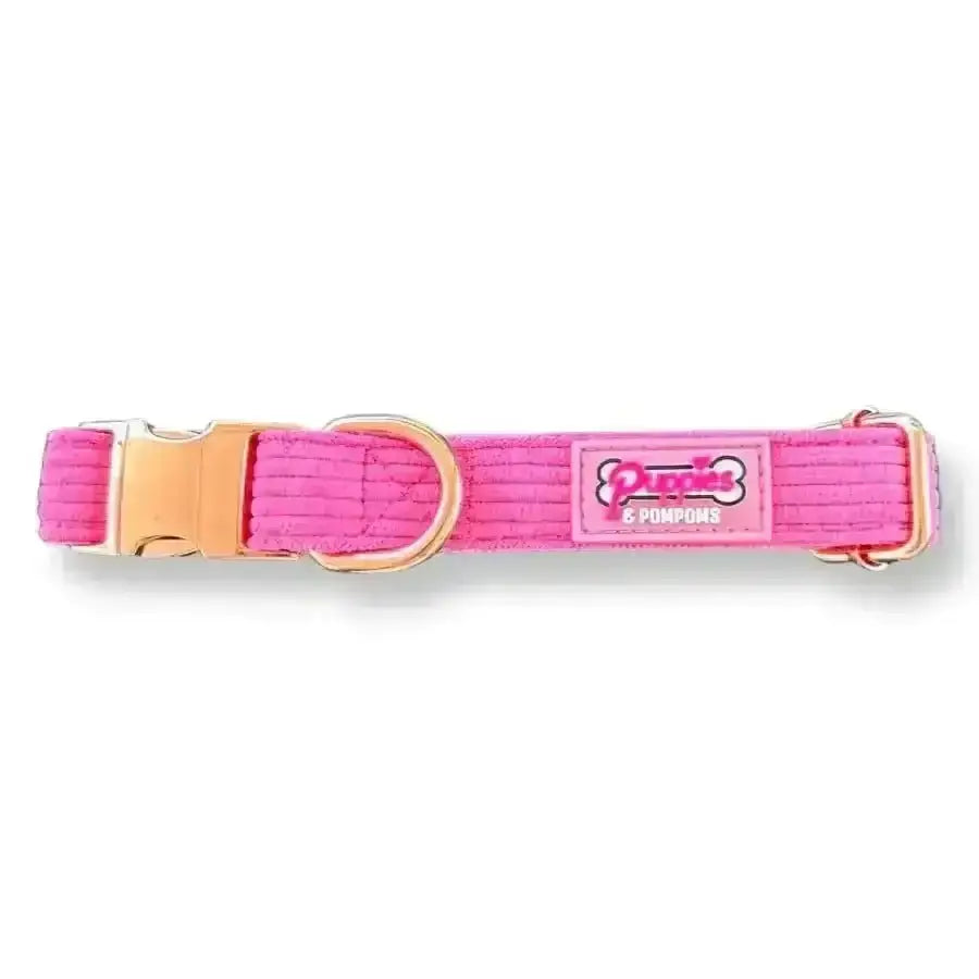 Pink luxury corduroy Poms dog collar with gold hardware and Purrs & Company logo