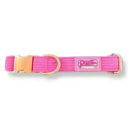 Pink luxury corduroy Poms dog collar with gold hardware and Purrs & Company logo