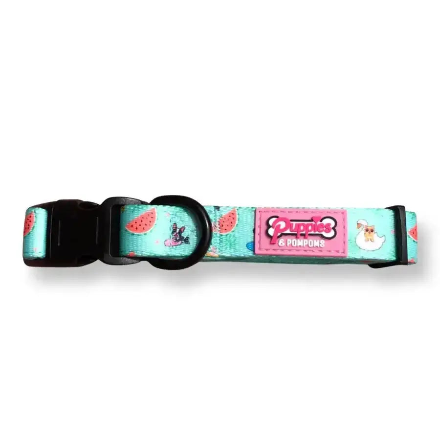 Turquoise and pink dog collar with watermelon design, ’pupples & pompoms’ brand.