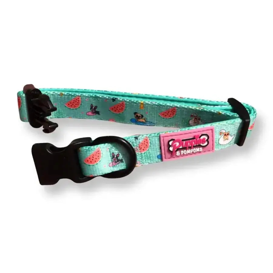 Mint green watermelon print Poms dog collar for Summer Pawl Pawty