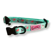 Mint green watermelon print Poms dog collar for Summer Pawl Pawty