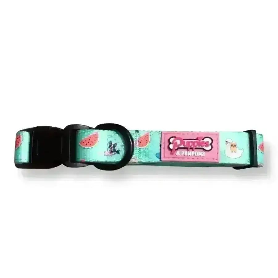 Turquoise and pink dog collar with watermelon design, ’pupples & pompoms’ brand.