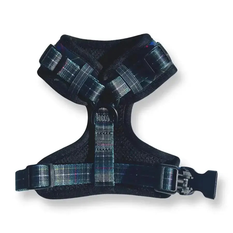 Puppies & Pom Poms Dog Harness in Cornish Hunting Tartan with black accents