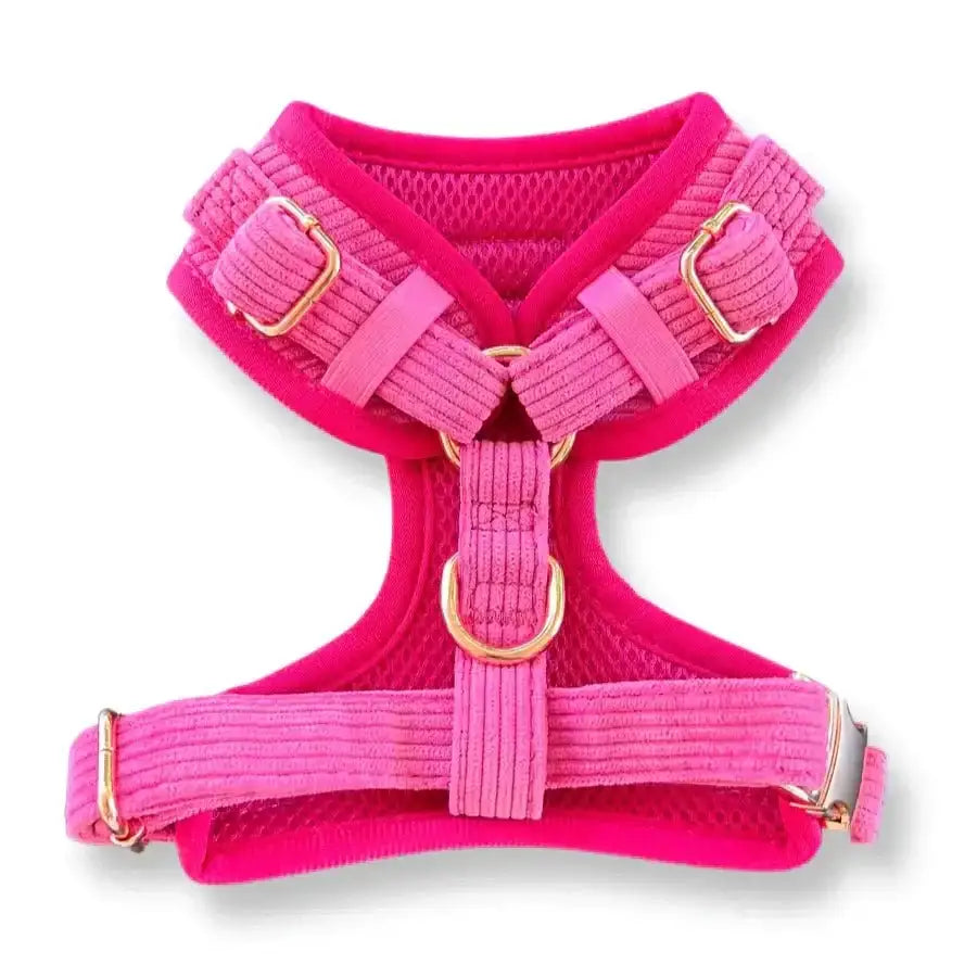 Pink Luxe Corduroy Poms Dog Harness with Neon Mesh