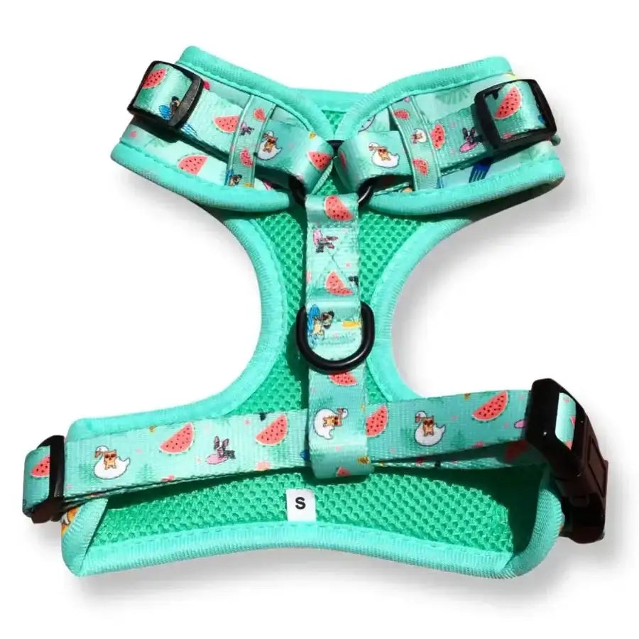 Mint green Poms Dog Harness with watermelon print for Summer Pawl Pawty