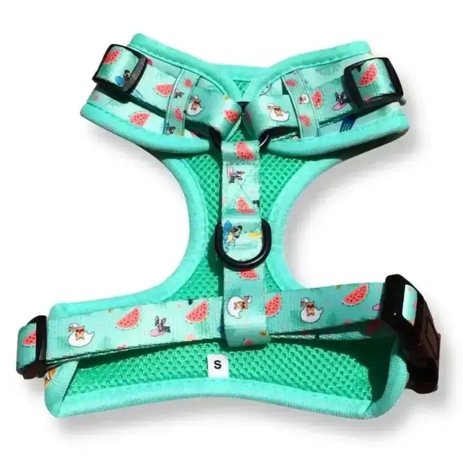 Mint green Poms Dog Harness with watermelon print for Summer Pawl Pawty
