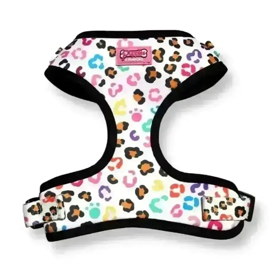 Poms dog harness with leopard print, colorful spots, paw prints, neoprene