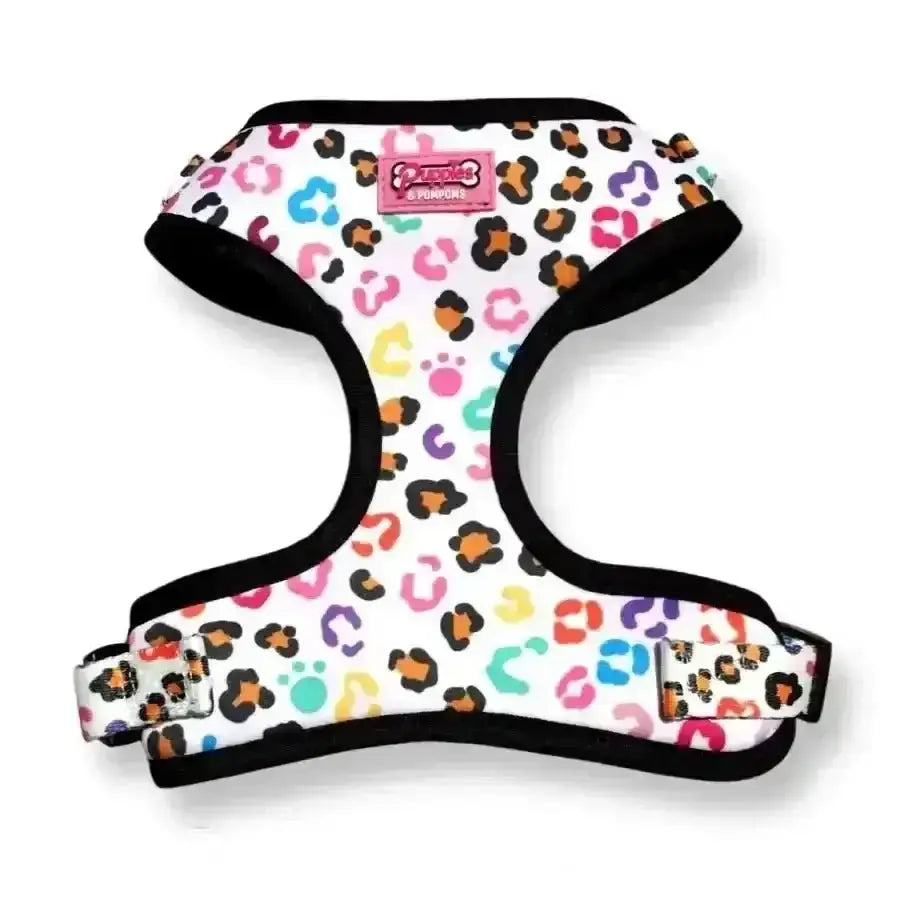 Poms dog harness with leopard print, colorful spots, paw prints, neoprene