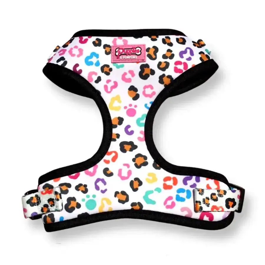 Poms dog harness with leopard print, colorful spots, paw prints, neoprene
