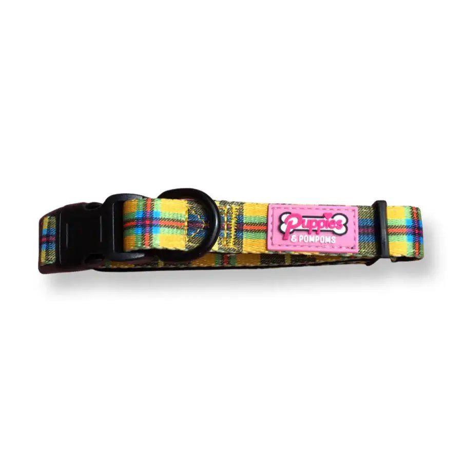 Plaid dog collar with pink and white label, black buckle, yellow background.