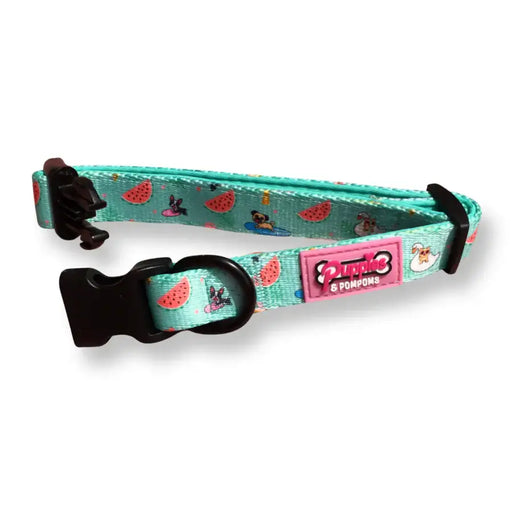 Puppies & Poms Dog Collar - Summer Pawl Pawty - Dog Collars and Leads