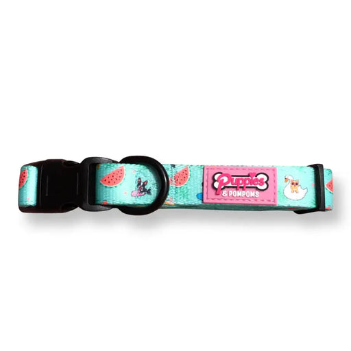Puppies & Poms Dog Collar - Summer Pawl Pawty - Dog Collars and Leads