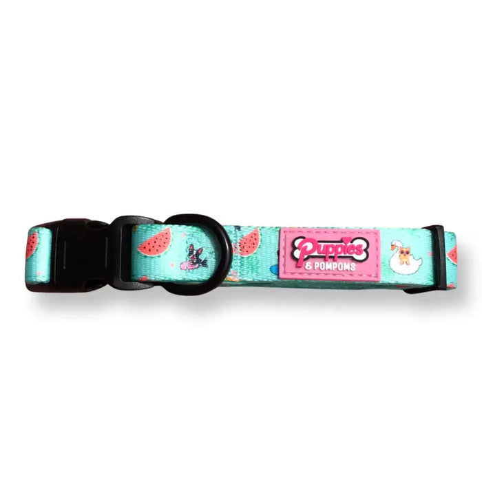 Puppies & Poms Dog Collar - Summer Pawl Pawty - Dog Collars and Leads