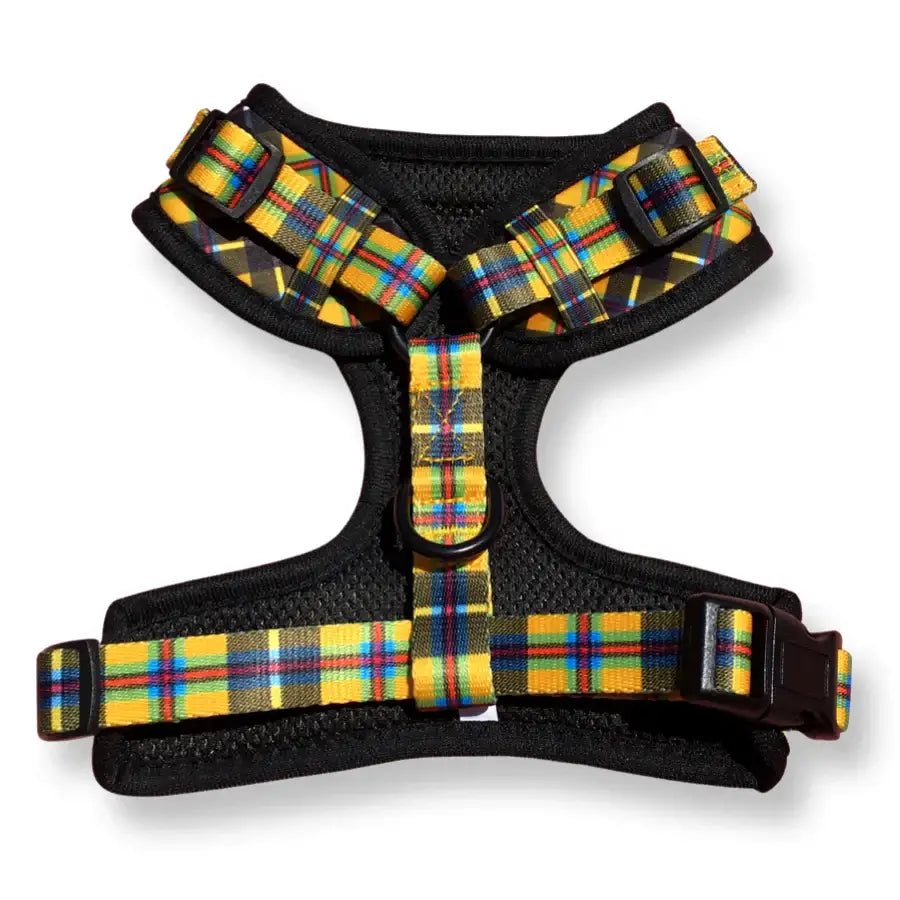 Yellow Plaid Dog Harness in Beautiful Traditional Cornish Tartan