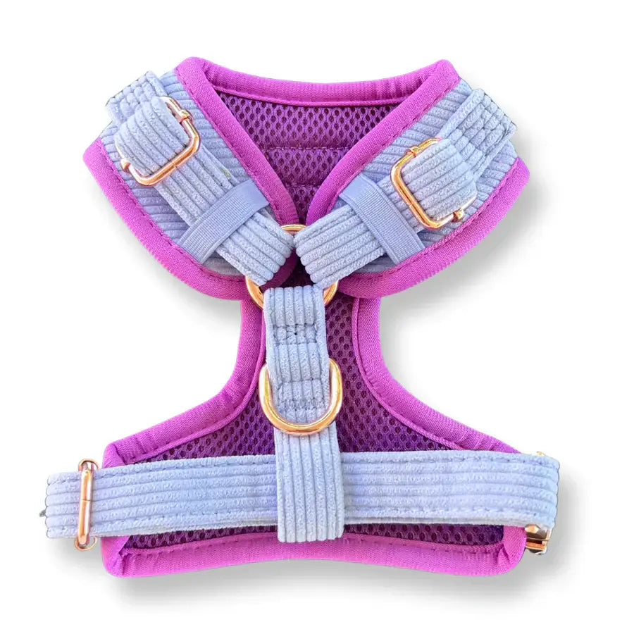 Puppies & Poms Harness - Lavender Blue Luxe Corduroy - Dog Collars and Leads