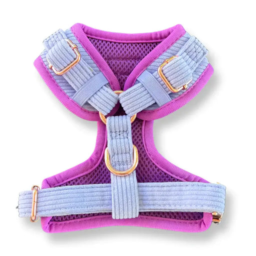 Puppies & Poms Harness - Lavender Blue Luxe Corduroy - Dog Collars and Leads